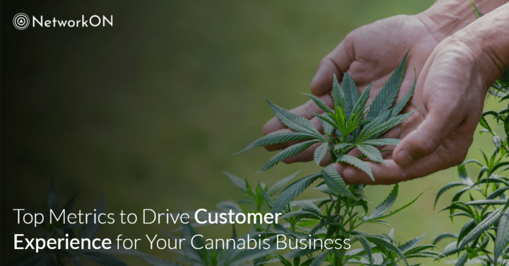 Top Metrics to Drive Customer Experience for Your Cannabis Business